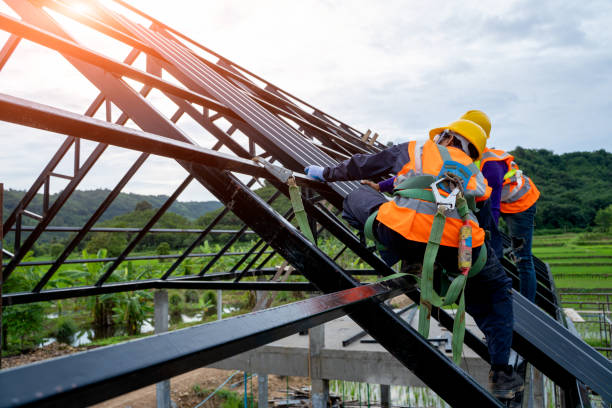 Best Gutter Installation and Roofing  in Mount Vernon, IL