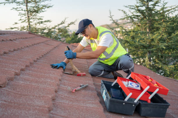 Best New Roof Installation  in Mount Vernon, IL